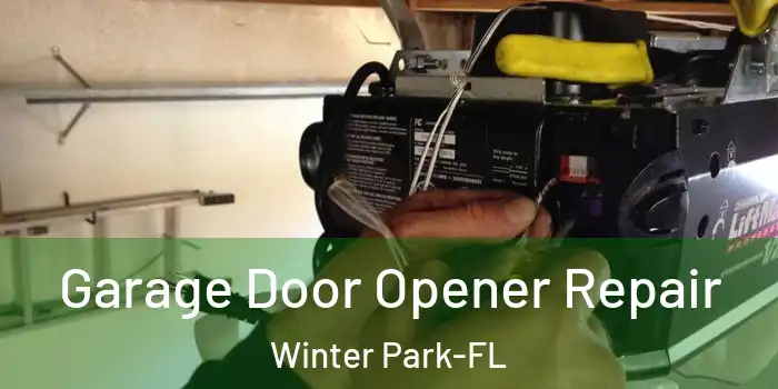 Garage Door Opener Repair Winter Park-FL