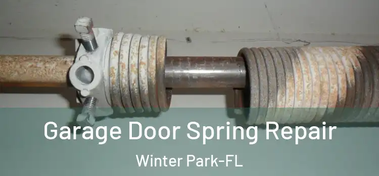 Garage Door Spring Repair Winter Park-FL